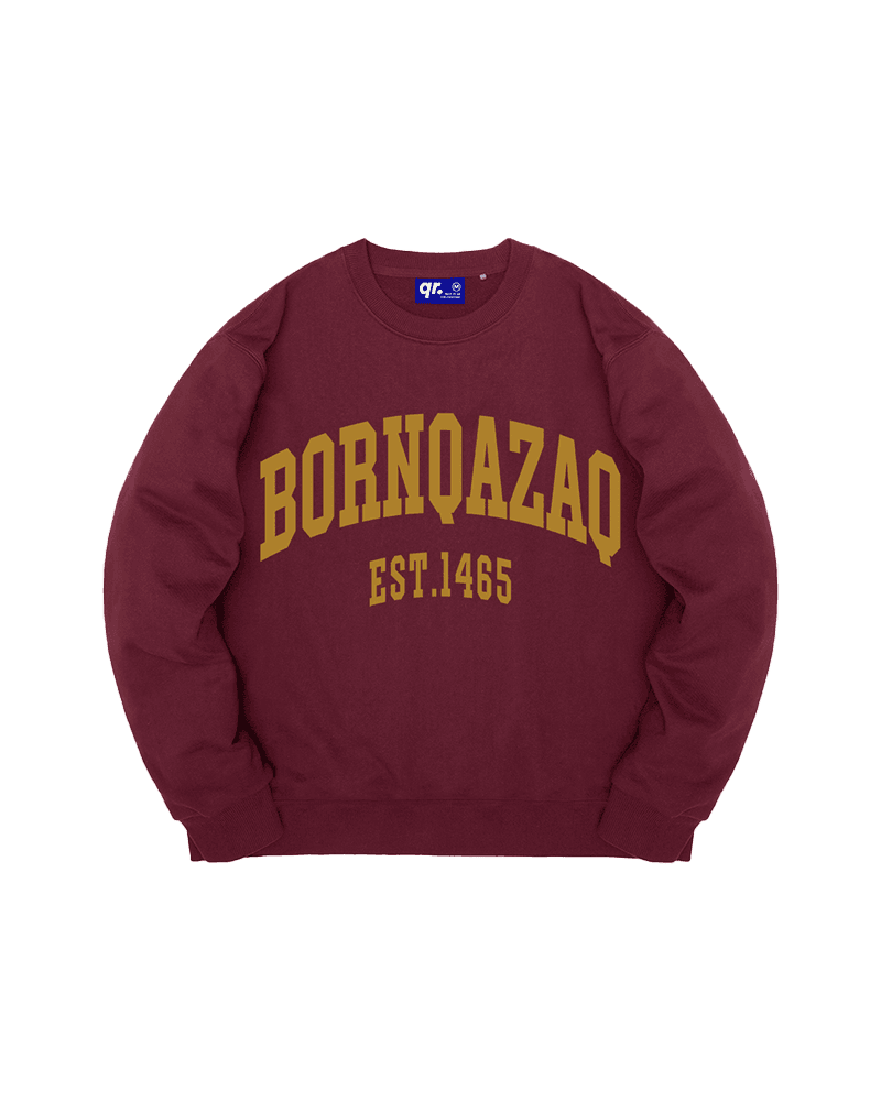 СВИТШОТ BQ FW25 БОРДОВЫЙ