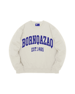 СВИТШОТ BQ FW25 БЕЛЫЙ